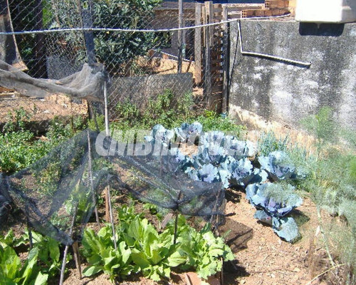 Imagem 20 de 23 de Chácara À Venda 3 Dormitórios No Bairro Distrito De Sapucaí Em Jacutinga - Ch03109 - 68382247