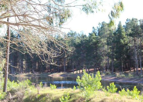 Imagen 15 de 25 de Venta - Lote Con Vista A Laguna Y Bosque En Viilla Robles - Barrio Cerrado