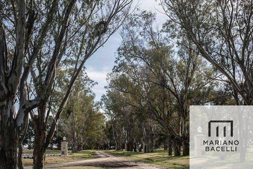 Lote En Venta En Barrio Privado Lagos De San Eliseo Canning