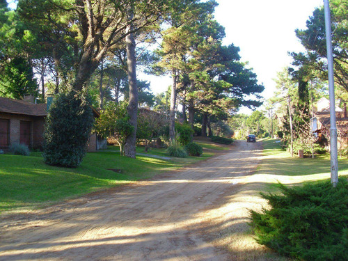 Imagen 6 de 6 de Lote En Venta - Zona Bosque / Ref: 1388