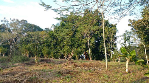 Venta Terreno 5000 M2 Frente Al Estero De Juana Moza Tuxpan Veracruz