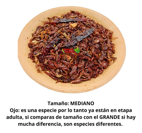 2 Kg Chapulines Ajo Y Chile Medianos Verdor Chili