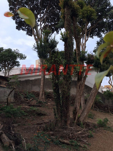 Imagem 11 de 12 de Terreno Em Vila Maria - São Paulo, Sp - 343526