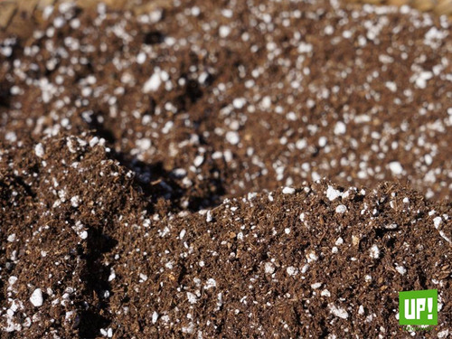 Sustrato Profesional Eden 10 Litros Tierra Fértil Cultivo