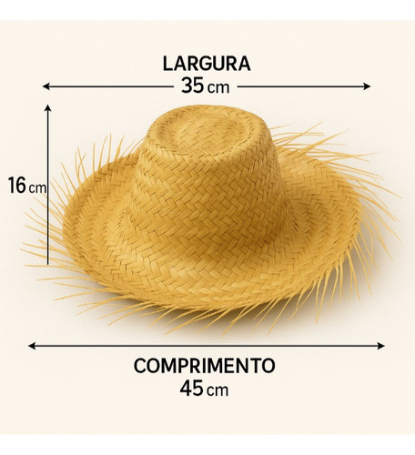 Chapéu Palha Caipira Natural Festa Junina Arráia São João