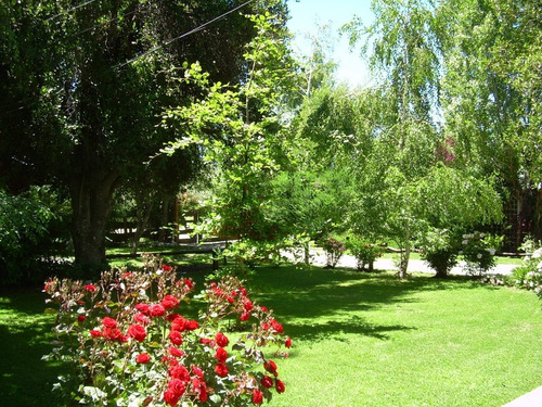 Alquiler Cabaña En Bariloche 3/4 Pax Hermoso Entorno
