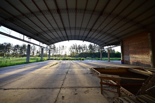 Imagen 16 de 30 de Naves Industriales