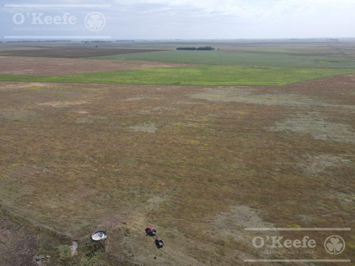 Imagen 9 de 20 de Campo De 155 Has En Venta En Benito Juarez - 100 % Agrícola