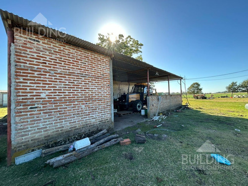Campo En Venta - 58 Hectáreas- Saladillo