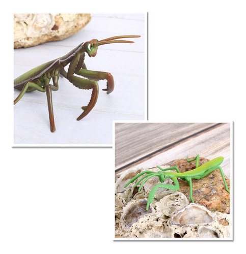 - Juego De Una Mantis Religiosa - 4 Piezas