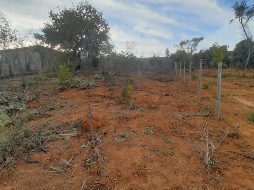 Imagem 5 de 10 de Lote Em Caetanópolis