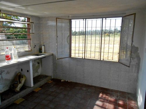 Buena Chacra C/ Casa A Reciclar En Sauce