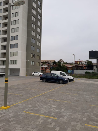 Arriendo Departamento Con Gastos Comunes Incluidos, Quilpué