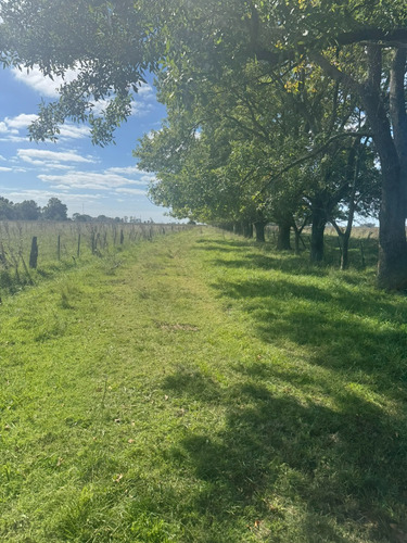 Campo De 30 Hectáreas Con Múltiples Edificaciones Y Uso Mixto