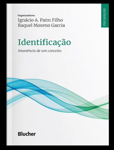 Identificacao - Imanencia De Um Conceito: Identificacao - Imanencia De Um Conceito, De Paim Filho, Ignacio Alvim. Editora Edgard Blucher, Capa Mole, Edição 1 Em Português, 2023