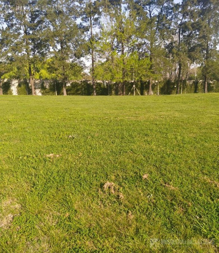 Imagen 1 de 4 de Terreno - Pilar