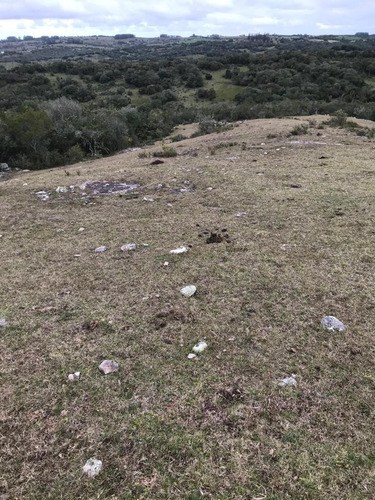 Imagen 9 de 9 de Buen Campo