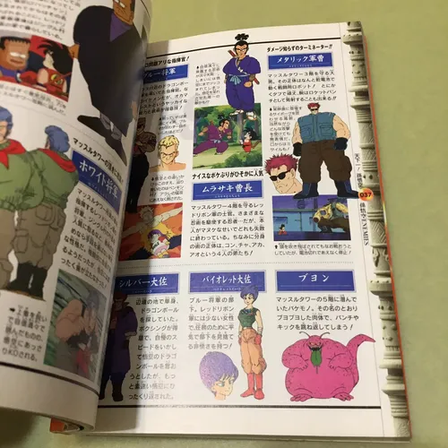 Tv Anime Guide Dragon Ball Legend Of Tenkaichi Tomo Japonés