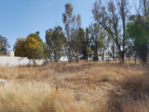 Imagen 10 de 12 de Terreno En Venta Frac. Campestre Martinica
