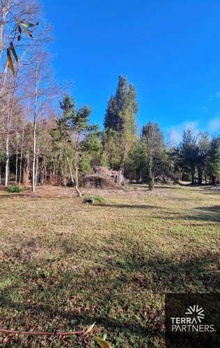 Parcelas De 5.000 M2 Fundo El Mirador Los Calabozos Pucón
