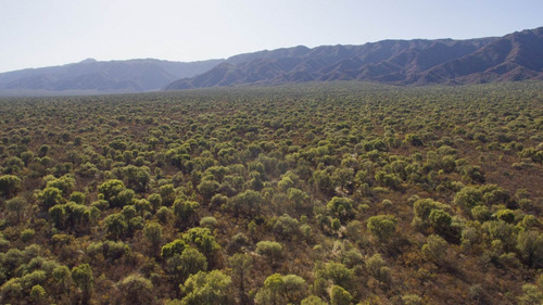 Imagen 7 de 18 de Venta De Campos En Córdoba Chancaní Campo Ganadero