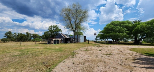 Imagen 6 de 30 de Excelente Campo Con Muy Buenas Mejoras .