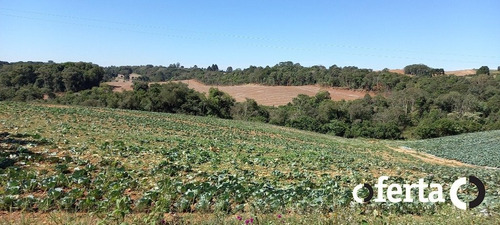 Imagem 8 de 15 de Terreno - Serrinha - Ref: 758 - V-758