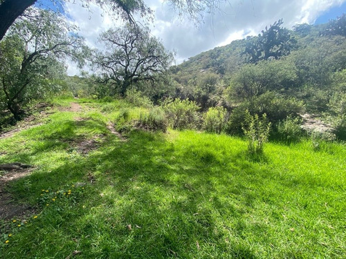 Imagen 4 de 7 de Venta De Terreno Ejidal. $170.00 El M2 En Tilcuautla, San Agustin Tlax
