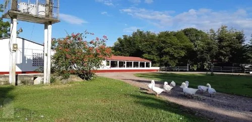 Te Vendo Finca Ubicada En Monte Plata.