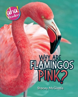 Libro Why Are Flamingos Pink? - Mcginnis, Stacey