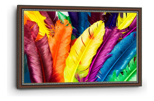 Cuadro Enmarcado Clasico Plumas De Colores 90x140cm