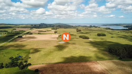 Venta De Chacra En Laguna Del Sauce, Punta Del Este