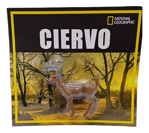 Ciervo: Una Cornamenta Maravillosa, De Anonimo. Editorial Arte Grafico - Agea Agata Ute, Tapa Blanda, Edición 2024 En Español