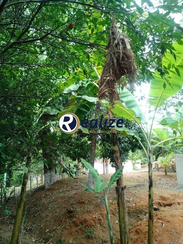 Imagem 5 de 30 de Excelente Chácara De 2 Quartos Em Iguape || Guarapari-es || Realize Negócios Imobiliários - Ch00005 - 33752586