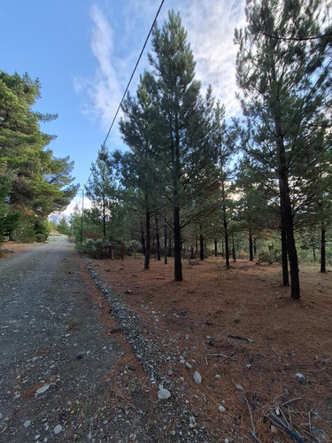 Loteo Altos De Epuyen - Desde 510m² Con Financiación