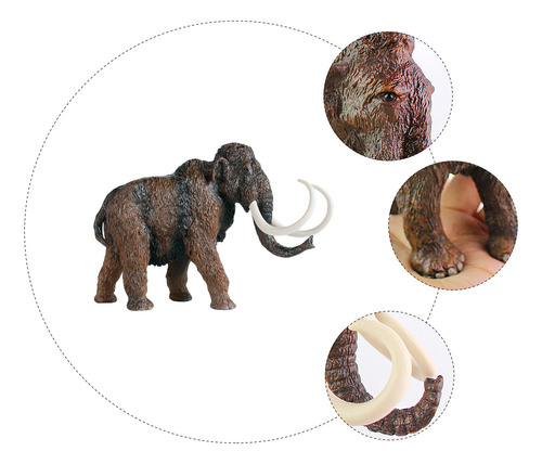 Juguete Educativo De Escritorio Con Maqueta De Animal Para N