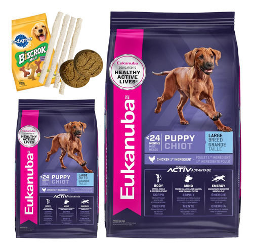 Alimento Perro Cachorro Raza Grande Eukanuba 15 Kg + Envío