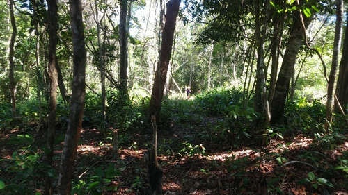 Imagem 5 de 5 de Casa E Terrenos