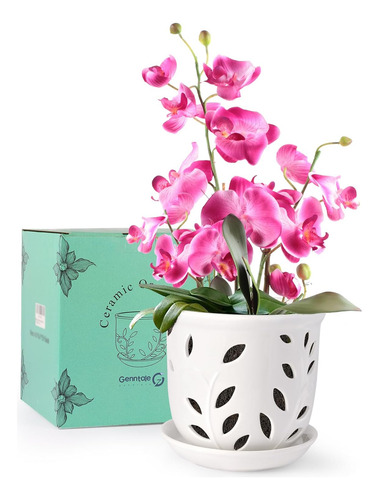 Maceta Para Orquídeas Con Agujeros Y Platillos, Maceta Grand