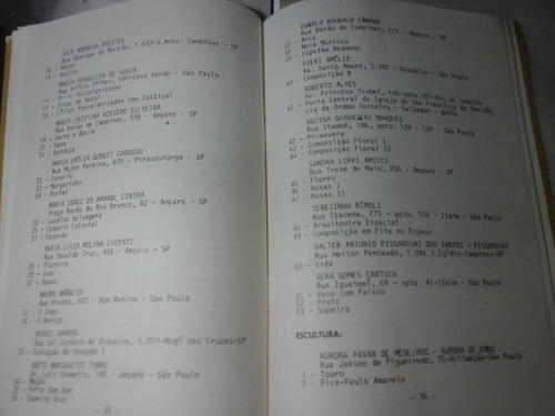 Iv Salão De Belas Artes Amparo Sp 1979 (Usado)