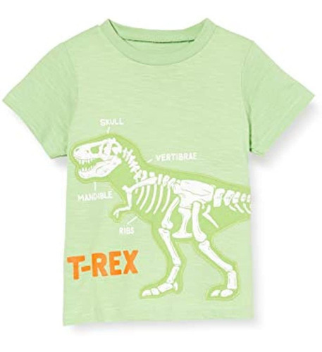 Hatley Baby Boys' T-shirt, T-rex Anatomy, 3-6 Months