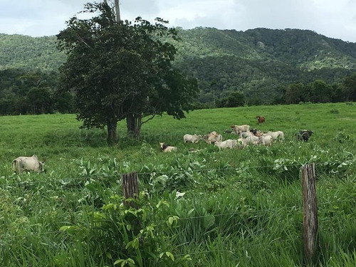 Imagen 25 de 30 de &&& Finca En Venta Aroa Yaracuy Rah 23-4755 // Invierta Seguro Con Rentahouse//