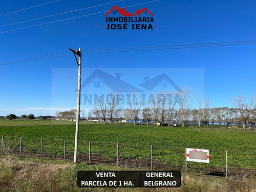 Parcela / Quinta / Chacra / Lote De 1 Ha. (10.000 M2) En Venta. Excelente Ubicación De General Belgrano. Zona De Calle 111 Y 178, Sociedad Rural.