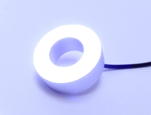 Lr-d12w Fuente Estanque Jardin 12 Led Anillo Luz Blanco