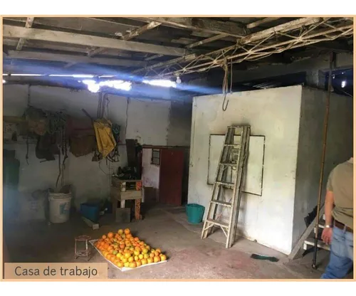 Vendo Finca De 18 Cuadras Para Ganado Y Cerdos A 15 Minutos D Fredonia