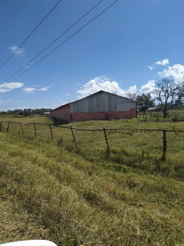 Imagen 10 de 24 de Venta Granja En La Ciudad Valencia Estado Carabobo