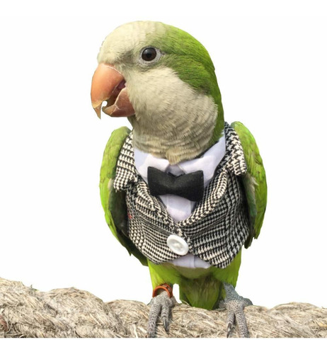 Mascota Animales Pequeños Ropa Pájaros Traje De Vuelo...