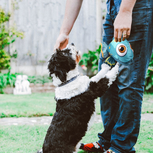 Juguete De Peluche Interactivo Con Forma De Pez Para Perro Q