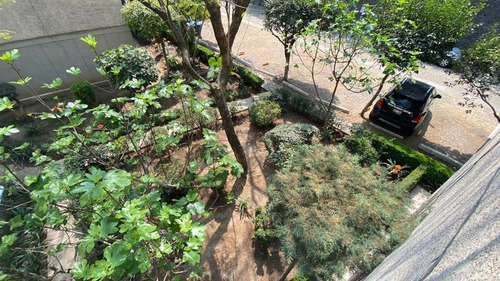 Imagen 3 de 3 de Excelente Ubicación Sobre Insurgentes Sur, 68018