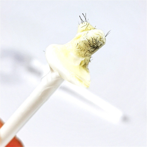 Kit De Cera Para Depilación Nasal, Pelos Nasales Para Oídos,